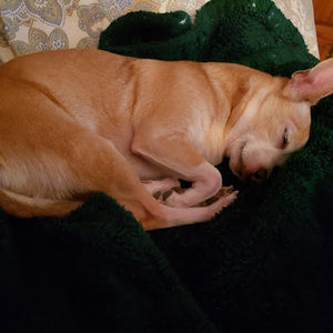 Meet your Posher, Debra